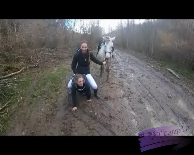 1155305bpddp5bb4tnnfpc.jpg
