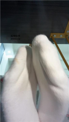 014816gmmmiuhuzjlmyhjs.jpg