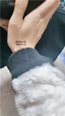 063126ch3o15rteo5lr3oo.jpg